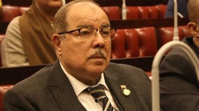 نائب بالشيوخ: ضرورة إعادة هيكلة وتنظيم السوق العقاري لضبط الأسعار 