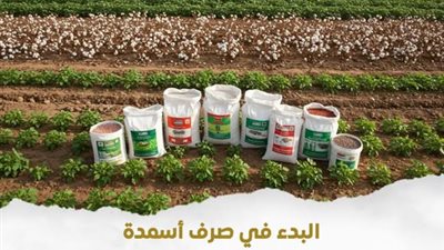 الزراعة: بدء صرف 6.6 مليون شيكارة من الأسمدة للموسم الزراعي الصيفي 2026