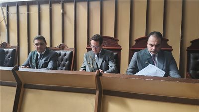 إحالة أوراق قاتل نجل حارس عقار ببورسعيد إلى فضيلة مفتي الجمهورية