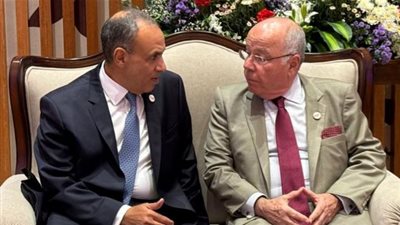 مصر والبرازيل تبحثان تعزيز التعاون عبر المنطقة الاقتصادية لقناة السويس