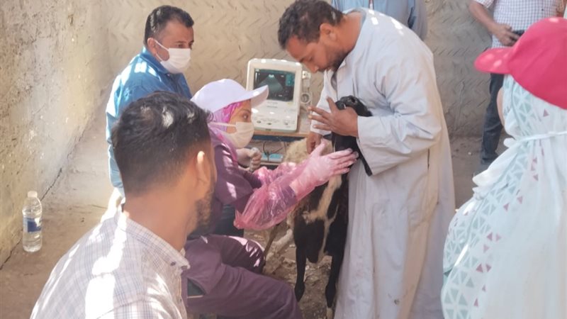خلال الحملة