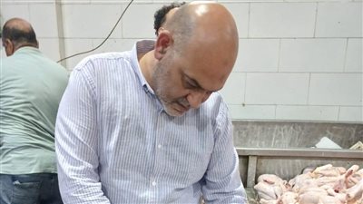 لضبط الأسواق.. القليوبية: ضبط 3 أطنان دواجن فاسدة   