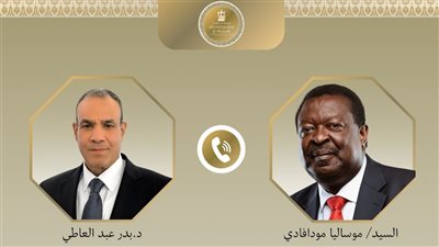 مصر وكينيا تبحثان تعزيز التعاون ودعم الاستقرار في القرن الأفريقي