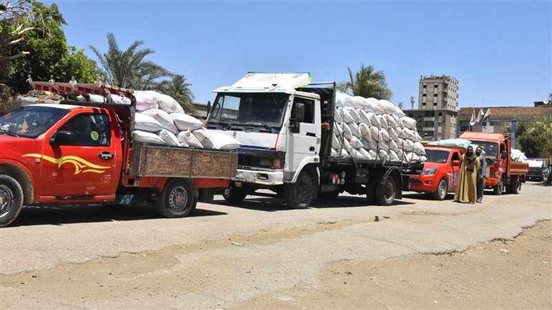 القمح