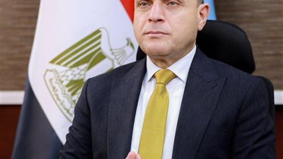 محافظ الغربية: مبادرة «الألف يوم الذهبية» تواصل دعم صحة الأم والطفل