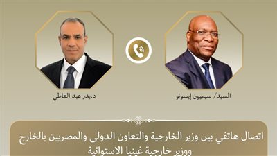 وزير الخارجية يبحث مع نظيره الغيني تعزيز العلاقات الاقتصادية ودعم قضايا السلم