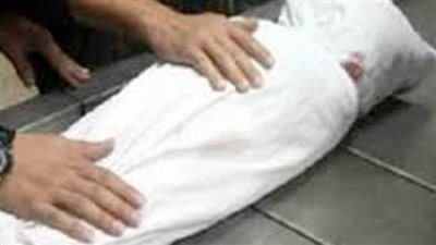 آثناء عبور الطريق.. مصرع طفل 5 سنوات في تصادم سيارة ملاكي بكرداسة