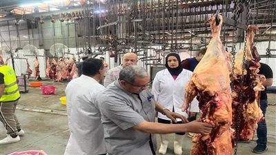 رفع درجة الجاهزية القصوى داخل المجازر الحكومية استعدادًا لعيد الأضحى 2026