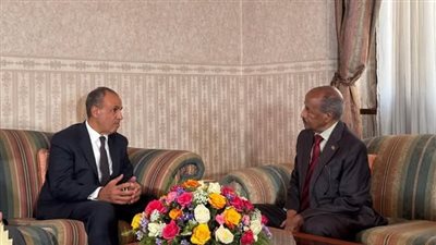 وزير الخارجية يؤكد دعم مصر الكامل لإريتريا ويبحث تعزيز التعاون الثنائي