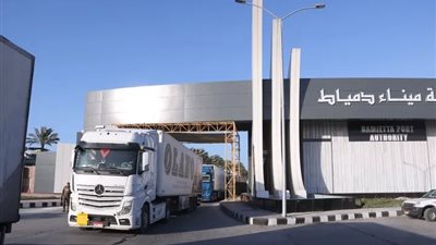 تداول 95 ألف طن بضائع بميناء دمياط وانتظام حركة السفن والحاويات