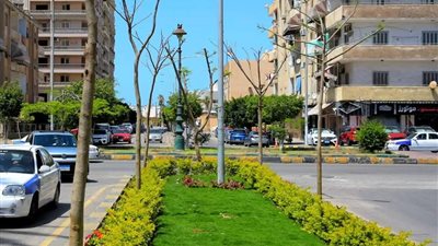 بورسعيد توسع المسطحات الخضراء ضمن خطة تحسين المظهر الحضاري