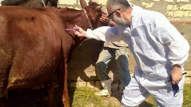 بحوث الصحراء يوزّع