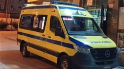 أمن البحيرة يضبط متهما طعن جارة داخل قطار المناشي بكوم حمادة  