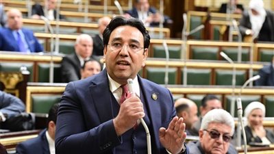 أيمن محسب يطالب الحكومة بخطة  لضبط الأسواق وأسعار اللحوم قبل عيد الأضحى