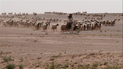في صحراء العراق.. الكشف عن قاعدتين إسرائيليتين سريتين جديدتين