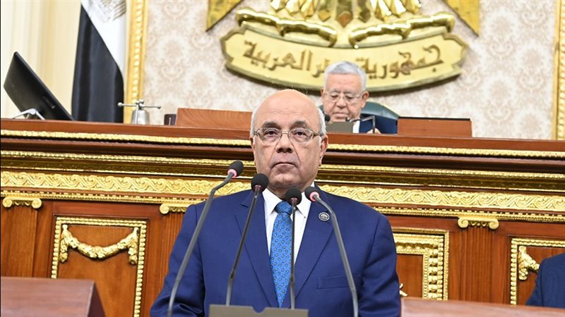 النائب محمد الفيومي