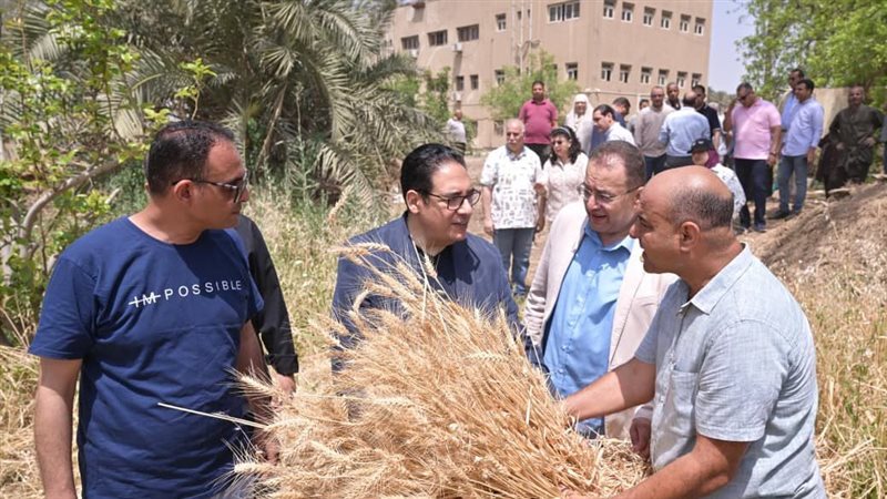 رئيس جامعة القاهرة
