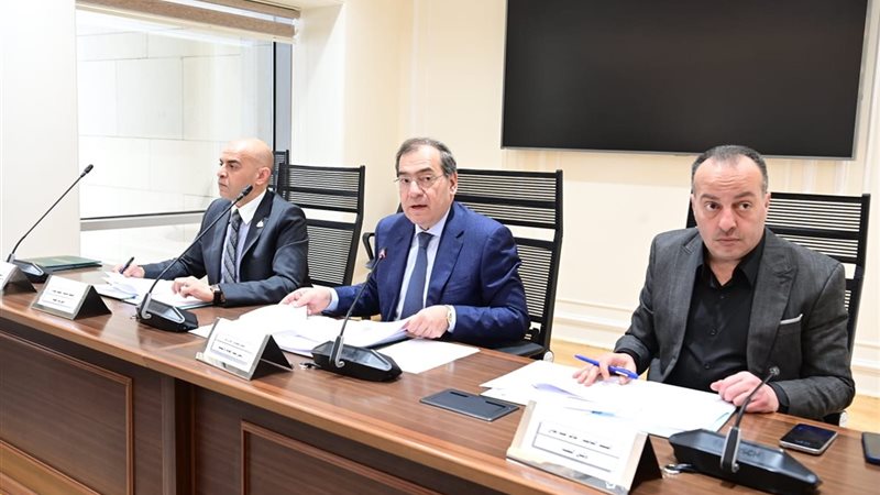 لجنة الطاقة والبيئة