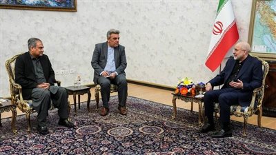 قاليباف في لقائه وزير داخلية باكستان: الوجود الأمريكي سبب غياب الأمن بالمنطقة