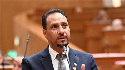 جرجس لاوندي: العلمين الجديدة تحولت إلى مدينة متكاملة تدعم الاقتصاد الوطني