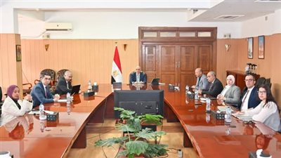 مصر واليابان تؤكدان استمرارالتنسيق المشترك ضمن الحوار التفاعلي