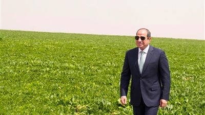 العزب: افتتاح السيسي مشروع الدلتا الجديدة يؤكد أن مصر تشهد نهضة شاملة