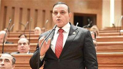 برلماني بسوهاج: مشروع الدلتا الجديدة نموذج متطور لإدارة الموارد المائية 
