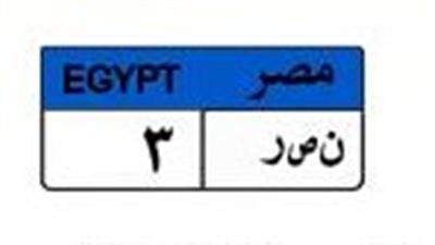 بـ 800 ألف جنيه.. منافسة شرسة بين شخصين للفوز بلوحة «نصر 3»