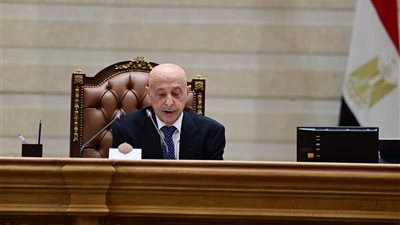 نواب حماة الوطن يقفون للترحيب بعقيلة تحت القبة بالتصفيق الحار