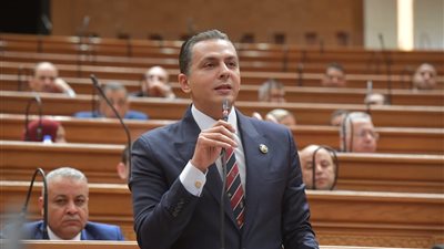 النائب أحمد عبدالجواد: لن ننحاز يوما إلا لطرف واحد وهو الشعب الليبي الشقيق