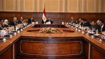 لتعزيز العلاقات.. حزب حماة الوطن يستقبل الوفد رفيع المستوى من الحزب الشيوعي الصيني