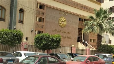 وسط حالة من الترقب..تأجيل الحكم في قضية «عروس المنوفية» إلى جلسة الغد