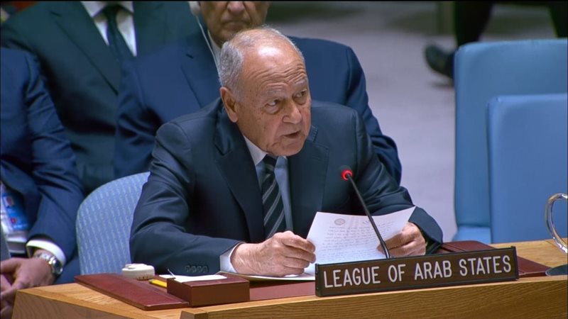أحمد أبو الغيط الأمين