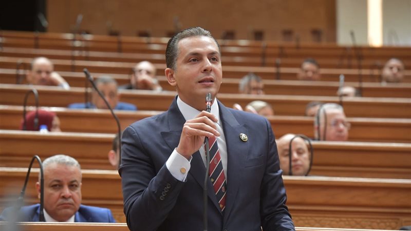 النائب أحمد عبدالجواد