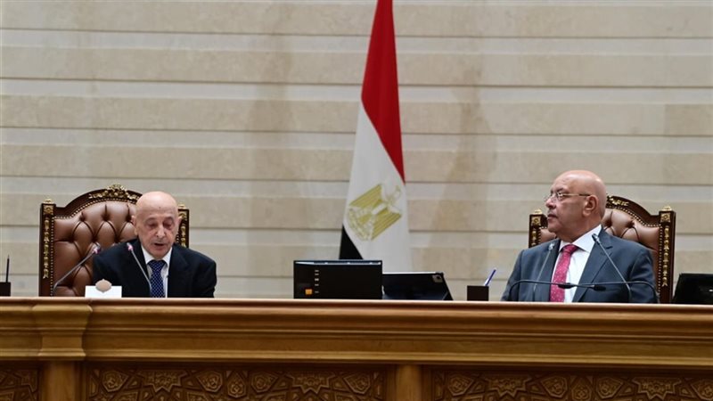 المستشار هشام بدوي