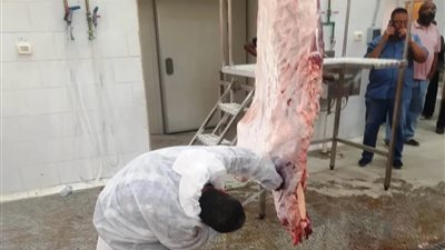 التشغيل التجريبى لمجزرى دراو وكلح الجبل بإدفو ضمن خطة تطوير المجازر بأسوان