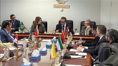 من جينيف.. مصر تقود الدعم الصحي لفلسطين وتطالب بجبهة عربية موحدة لمواجهة الأزمة الصحية