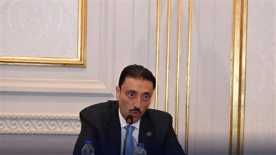 النائب محمد رزق يطالب بتعميم معارض الكتاب بالمحافظات: الثقافة خط الدفاع الأول في معركة الوعي
