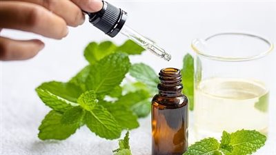 هل يصبح زيت النعناع بديل طبيعي لأدوية الضغط؟ دراسة حديثة تكشف