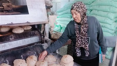 صرف ١٧٧مليون رغيف مدعم بالقليوبية خلال نصف شهر.. وتموين القليوبية تكثف الرقابة