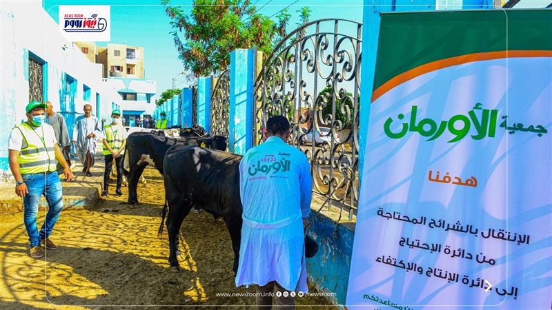 اورمان المنيا 