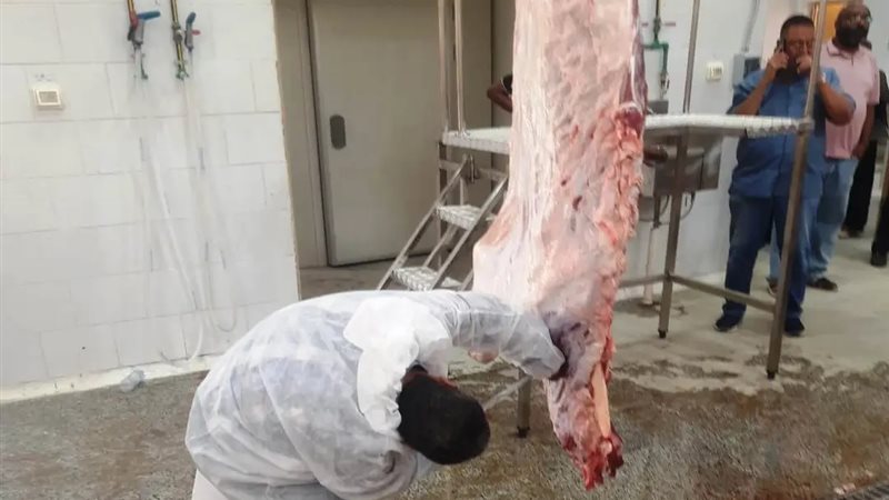 التشغيل التجريبي