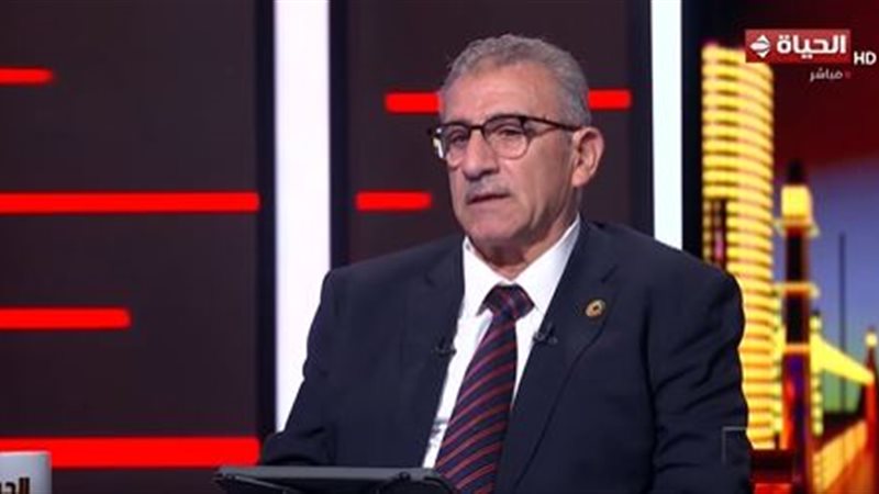 وائل ربيع