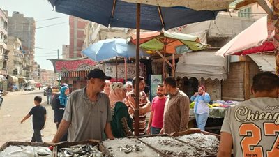 رفع 75 حالة إشغال بحملة في شوارع مدينة المحمودية بالبحيرة