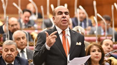 الهضيبي يتقدم بطلب إحاطة بشأن استهداف الأطفال والشباب في الهجرة غير الشرعية 