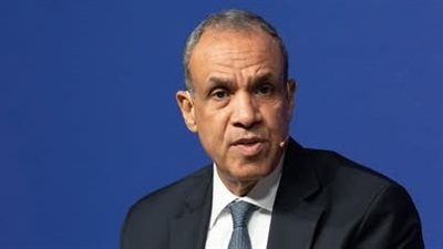 وزير الخارجية: العلاقات المصرية الإفريقية ليست مجرد علاقات أو مصالح عابرة