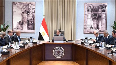 رئيس الوزراء يستعرض جهود تعزيز الربط والتبادل التجاري مع الدول الإفريقية