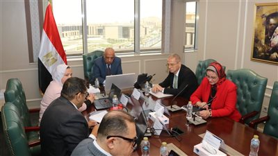 وزير الكهرباء: فصل «المصرية لنقل الكهرباء» تم وفق معايير اقتصادية واضحة