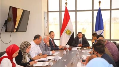 خطة للتوسع في استخدام الطاقة الشمسية بالمنطقة الحرة ومدينة الأثاث بدمياط