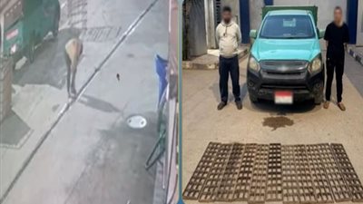 كاميرات المراقبة فضحتهم.. ضبط سائقين سرقا قطع حديدية من محطة وقود بكفر الشيخ